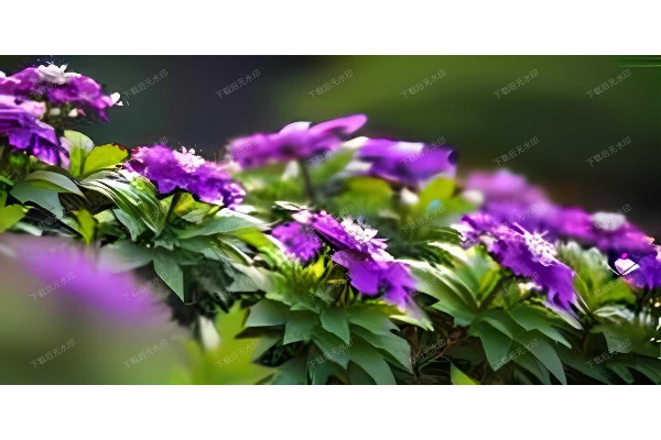 杭州桑拿按摩：洁净舒适，养生首选